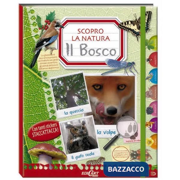 Bosco. Scopro la natura. Con adesivi. Ediz. illustrata (Il)
