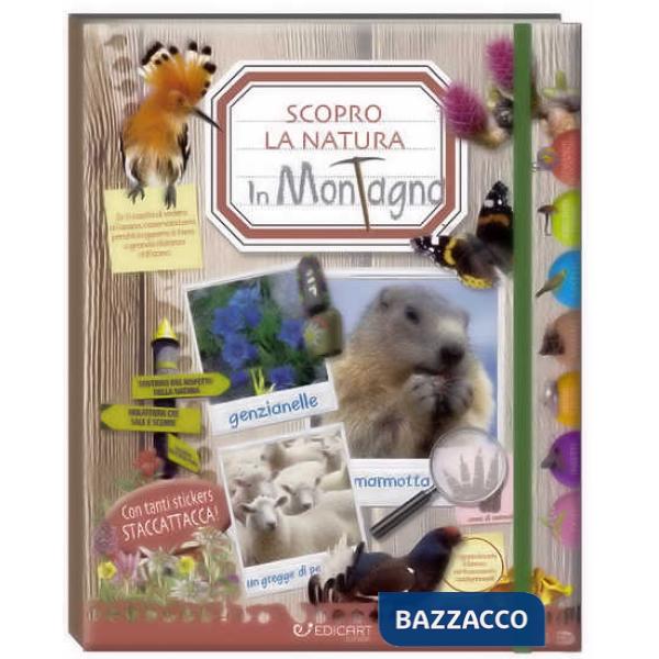 In montagna. Scopro la natura. Con adesivi. Ediz. illustrata