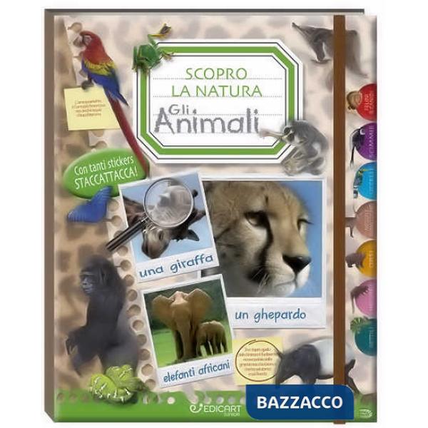 Mondo di animali. Scopro la natura. Con adesivi. Ediz. illustrata (Un)