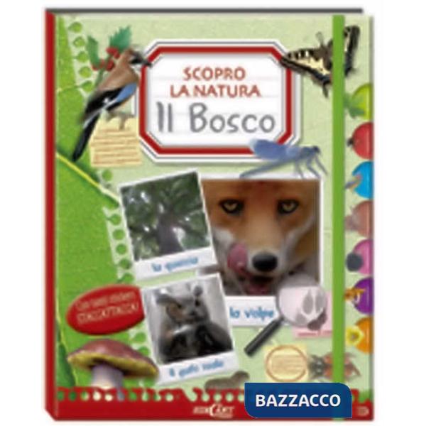 Bosco. Scopro la natura. Con adesivi (Il)