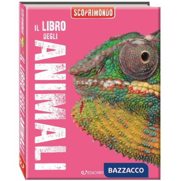 Libro degli animali. Scoprimondo. Ediz. a colori (Il)