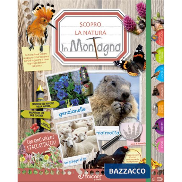 In montagna. Scopro la natura. Con adesivi. Ediz. a colori