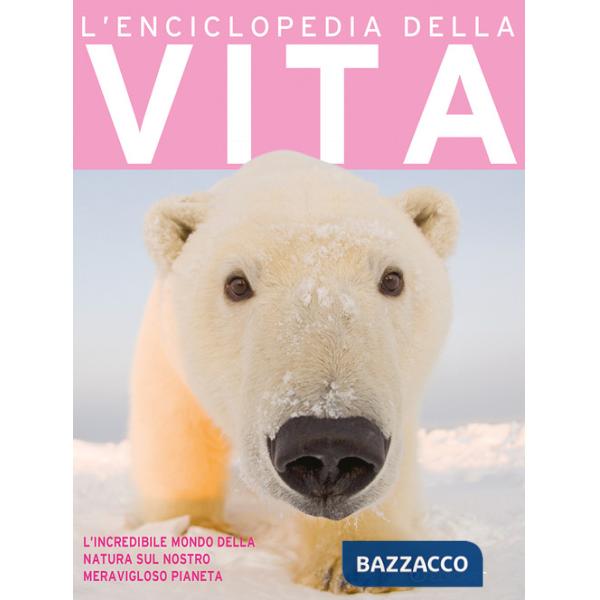 Enciclopedia della vita. Ediz. a colori (L')