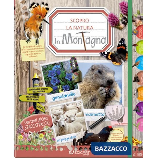 In montagna. Scopro la natura. Con adesivi. Ediz. illustrata