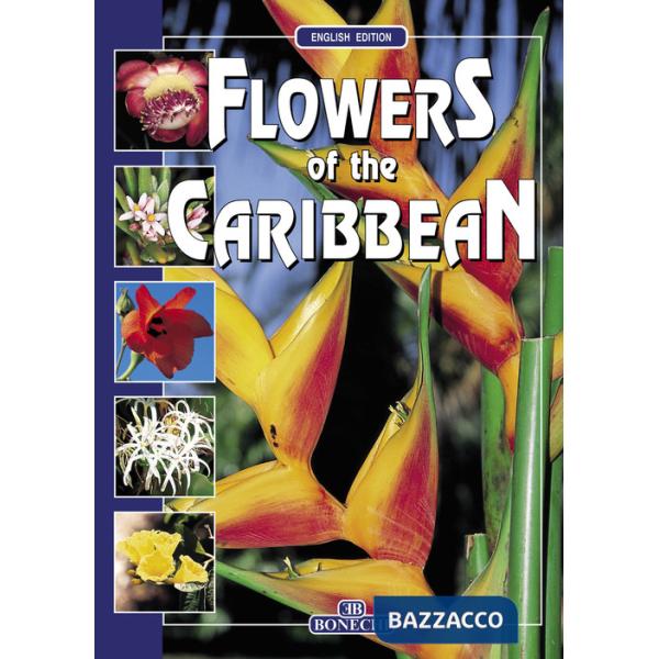 Flowers of the Caribbean