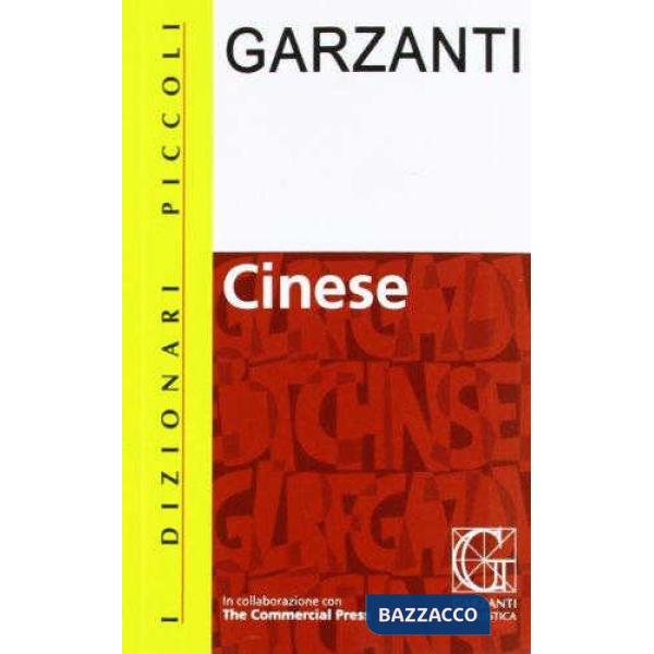 DIZIONARIO CINESE PICCOLI