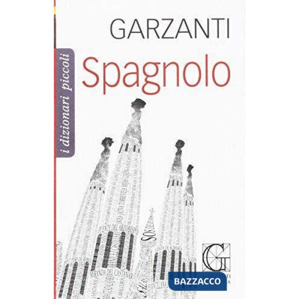 PICCOLO DIZIONARIO DI SPAGNOLO