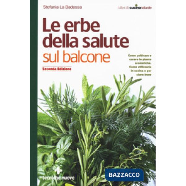 Erbe della salute sul balcone. Come coltivare e curare le piante aromatiche. Com