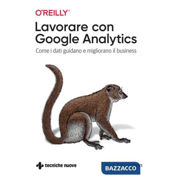 Lavorare con Google Analytics. Come i dati guidano e migliorano il business