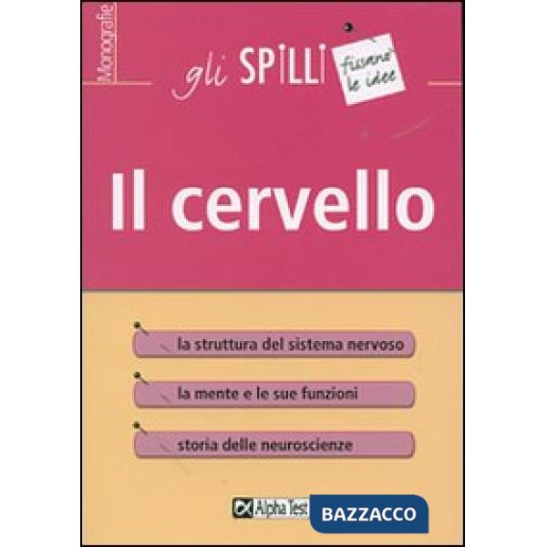 Cervello (Il)