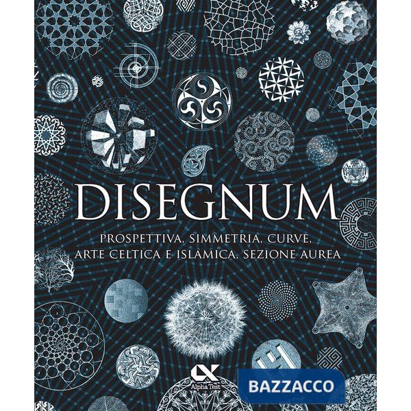 Disegnum. Prospettiva, simmetria, curve, arte celtica e islamica, sezione aurea. Ediz. a colori