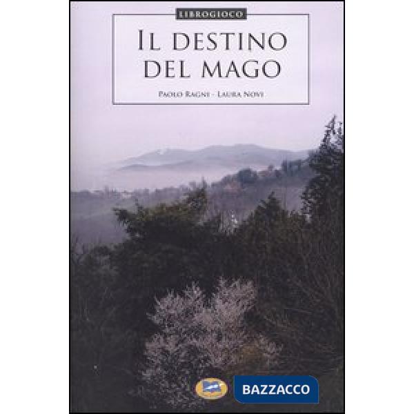 Destino del mago (Il)