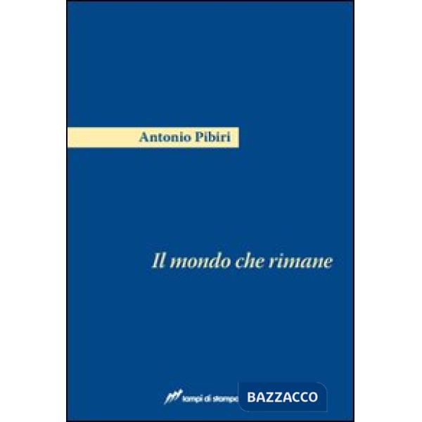 Mondo che rimane (Il)