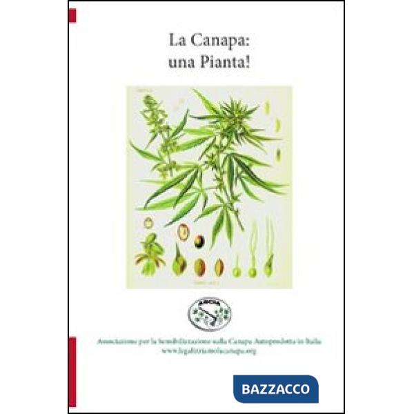 Canapa: una pianta! (La)