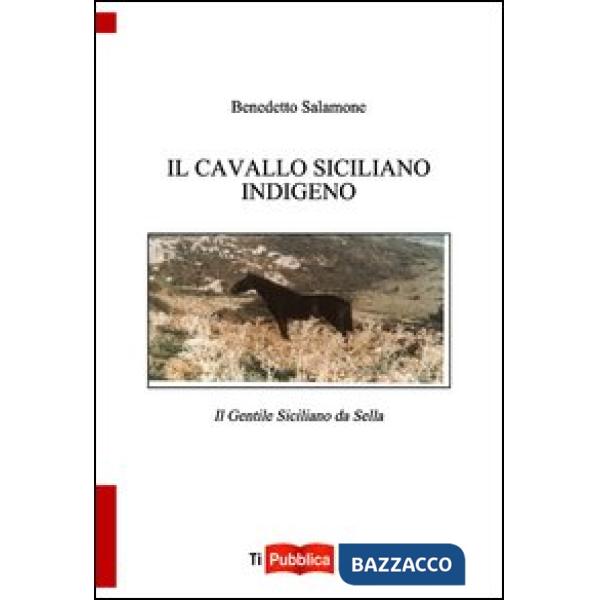 Cavallo indigeno siciliano. Il gentile siciliano da sella (Il)