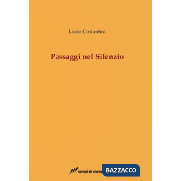 Passaggi nel silenzio