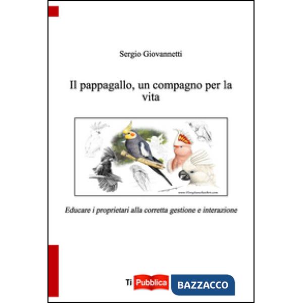Pappagallo, un compagno per la vita (Il)