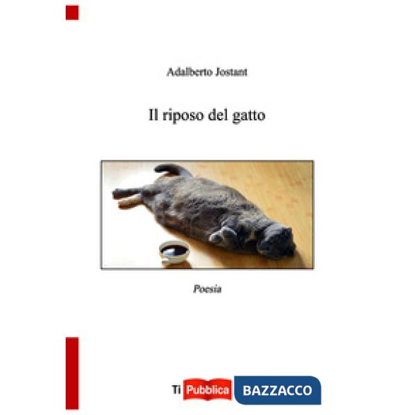 Riposo del gatto (Il)