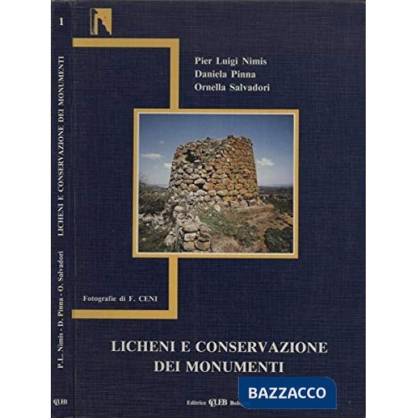 Licheni e conservazione dei monumenti
