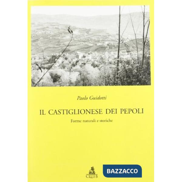 Castiglionese dei Pepoli. Forme naturali e storiche della montagna (Il)