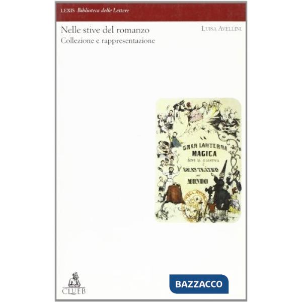 Nelle stive del romanzo. Collezione e rappresentazione