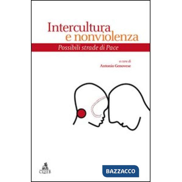 Intercultura e nonviolenza. Possibili strade di pace