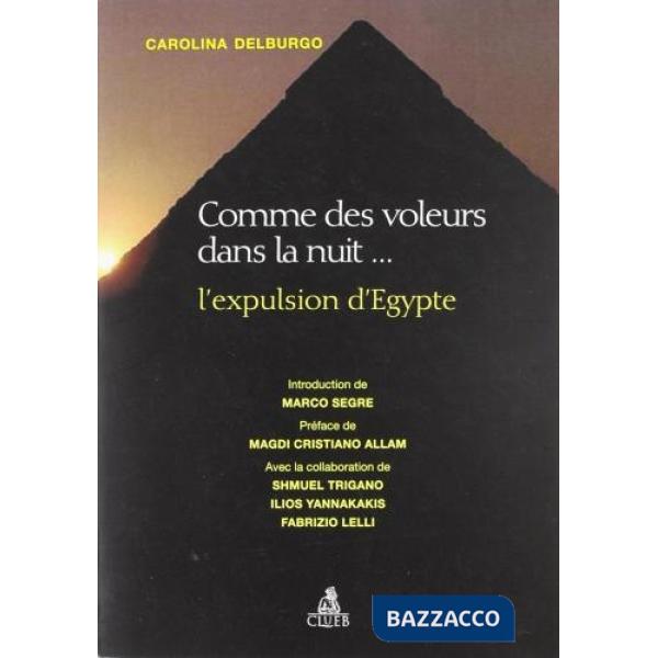 Comme des voleurs dans la nuit. L'expulsion d'Egypte