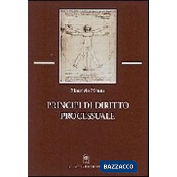 Principi di diritto processuale