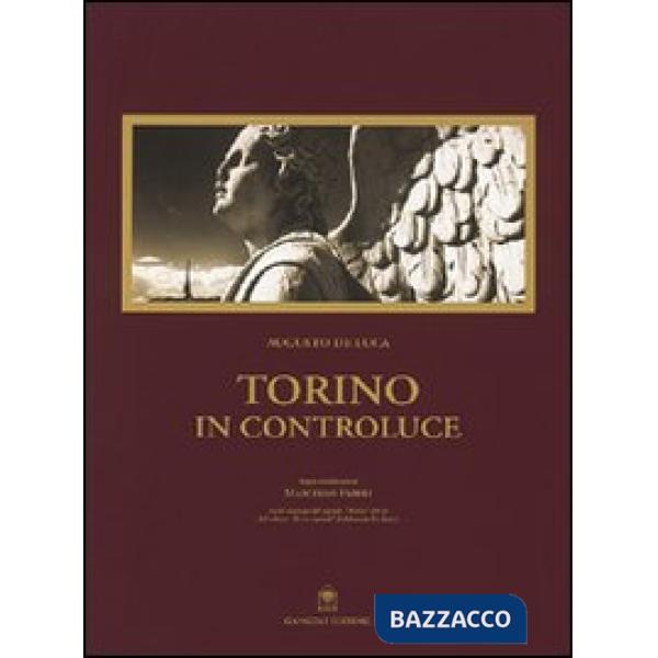 Torino in controluce