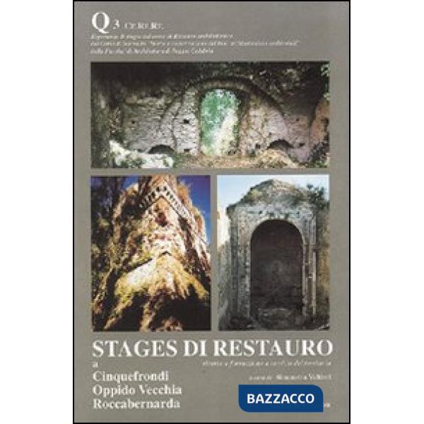 Stages di restauro. Cinquefrondi, Oppido Vecchia, Roccabernarda. Ricerca e formazione a servizio del territorio. Quaderno. Vol. 
