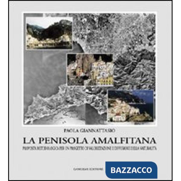 Trasformazioni e il progetto urbano. Una metodologia operativa per una nuova dialettica tra piano e progetto (Le)