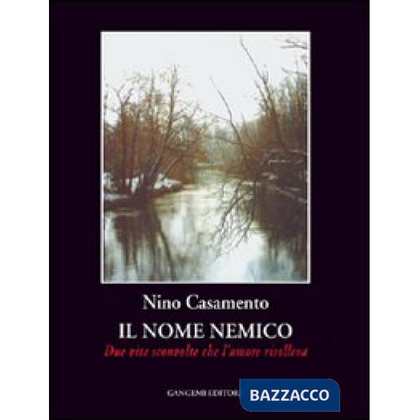 Nome nemico. Due vite sconvolte che l'amore risolleva (Il)