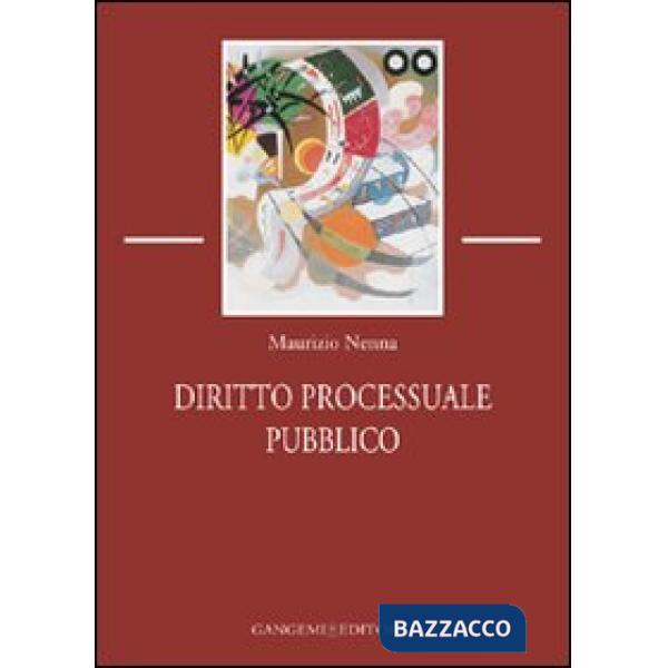 Diritto processuale pubblico