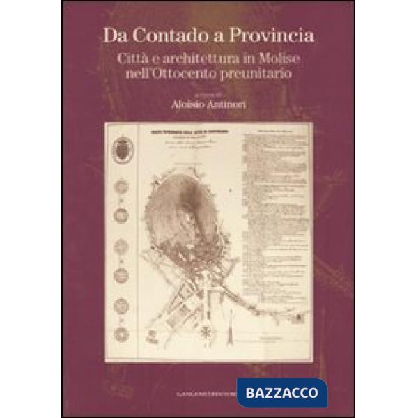 Da Contado a Provincia. Città e architettura in Molise nell'Ottocento preunitario. Ediz. illustrata