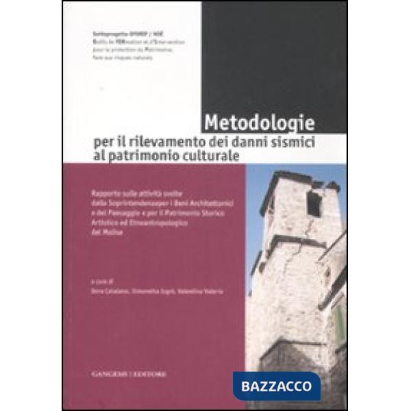 Metodologie per il rilevamento dei danni sismici al patrimonio culturale. Ediz. illustrata