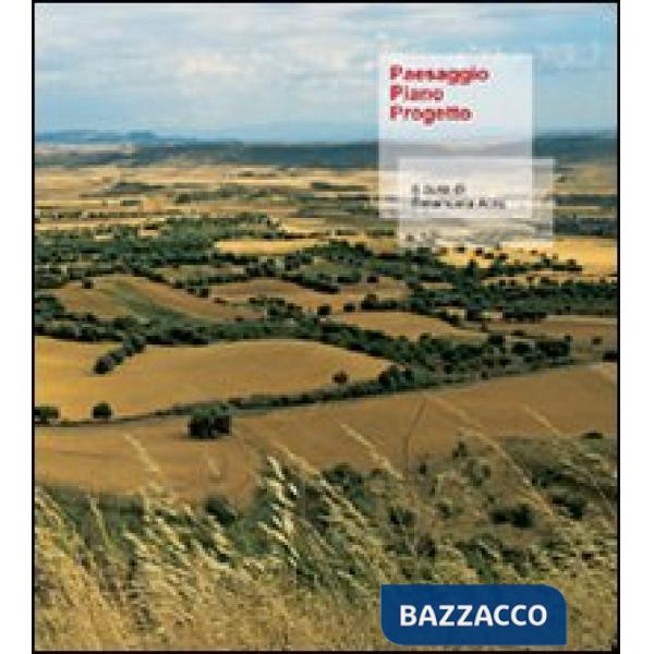 Paesaggio piano progetto