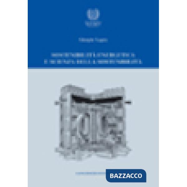 Sostenibilità energetica e scienza della sostenibilità