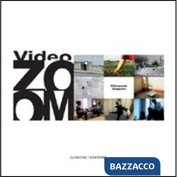 Videozoom: Giappone. Re-inquadrare il quotidiano: la videoarte giapponese negli ultimi dieci anni. Ediz. illustrata
