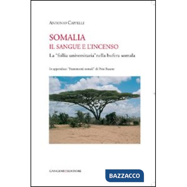 Somalia. Il sangue e l'incenso. La «follia universitaria» nella bufera somala