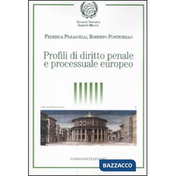 Profili di diritto penale e processuale europeo