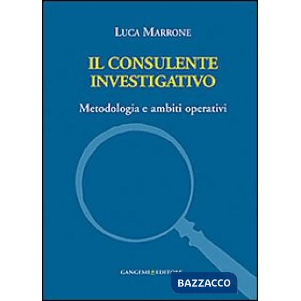 Consulente investigativo. Metodologia e ambiti operativi (Il)