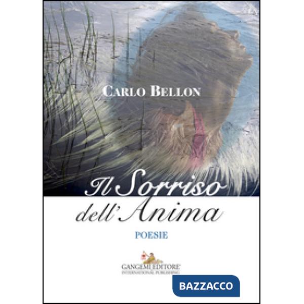 Sorriso dell'anima (Il)