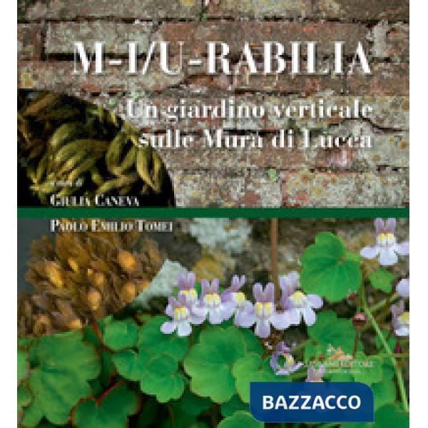 M-i/u-rabilia. Un giardino verticale sulle mura di Lucca. Ediz. a colori