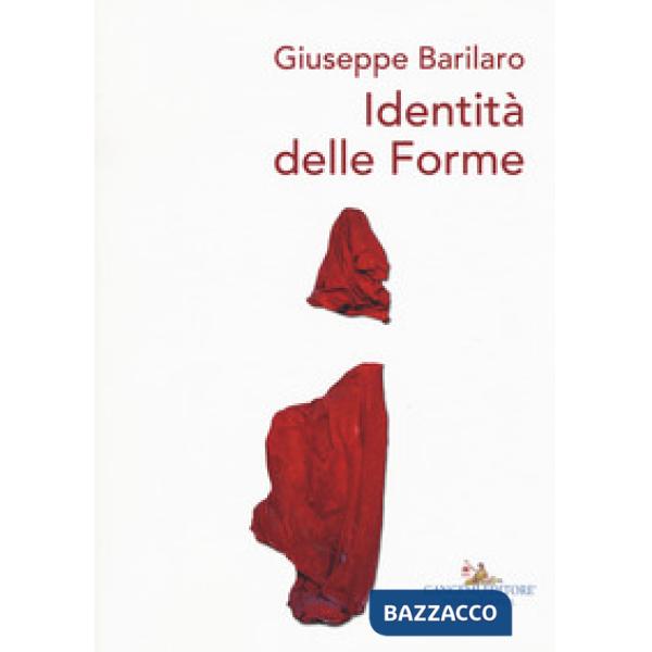Giuseppe Barilaro. Identità delle forme. Ediz. a colori