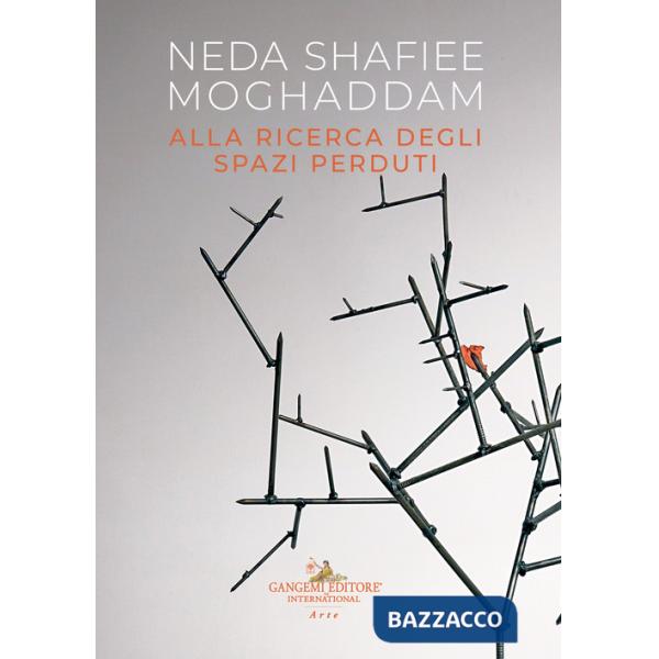 Neda Shafiee Moghaddam. Alla ricerca degli spazi perduti