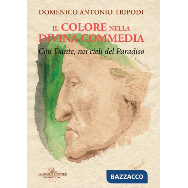 Colore nella Divina commedia. Con Dante, nei cieli del Paradiso (Il)