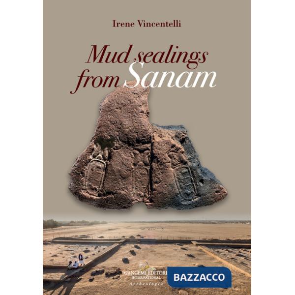 Mud sealings from Sanam
