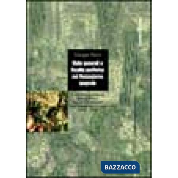 Visite generali e fiscalità periferica nel mezzogiorno spagnolo