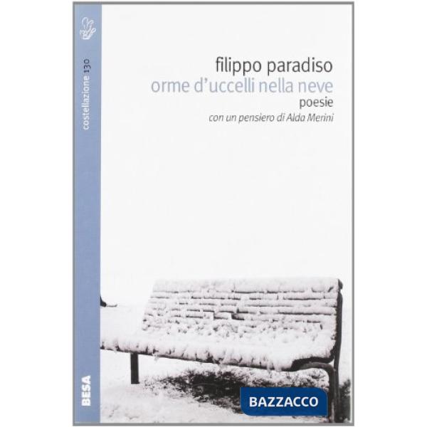 Orme d'uccelli nella neve