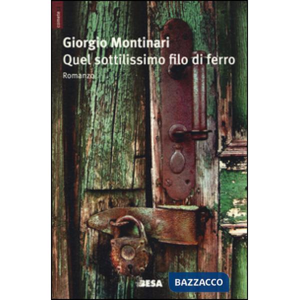 Quel sottilissimo filo di ferro